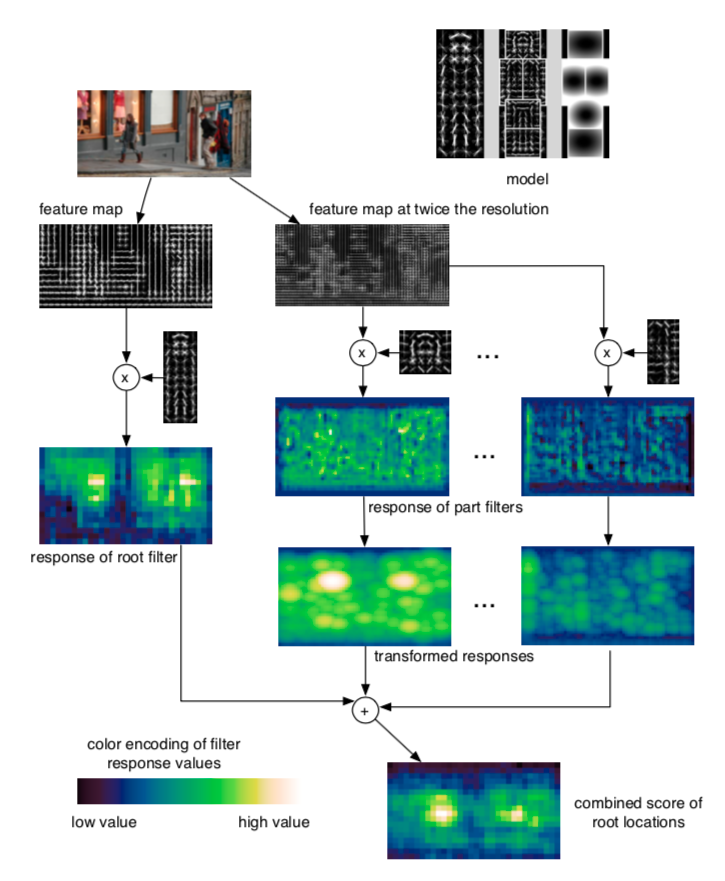Image cell gradients(direction and magnitude)